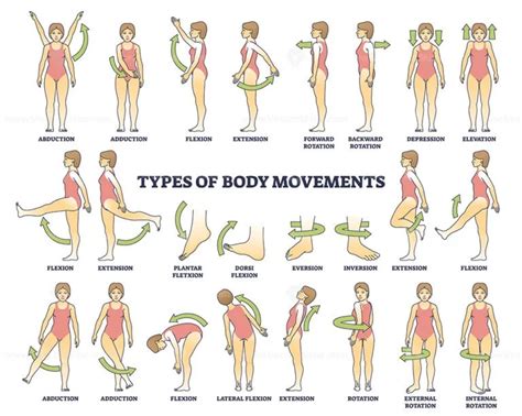 Related to the study of body movement and its mechanics .